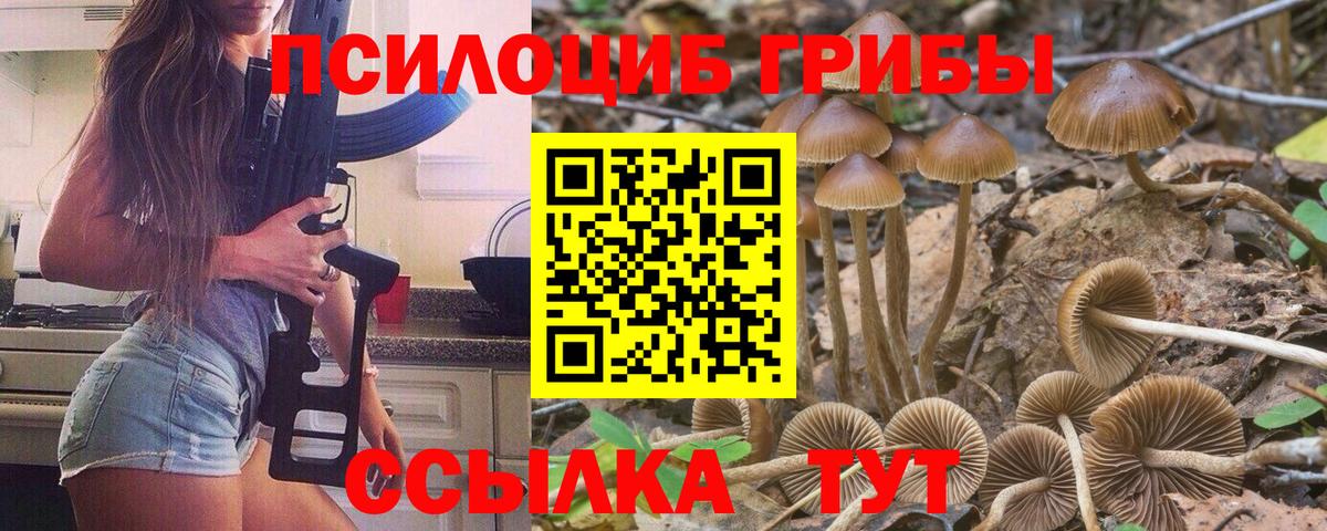 Галлюциногенные грибы мицелий  Вход с VPN  Кудымкар 