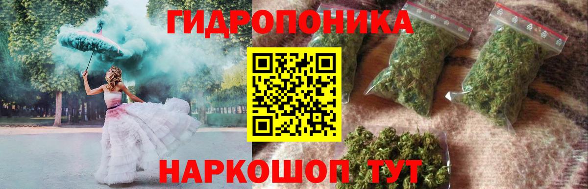 Бошки Шишки планчик Кудымкар